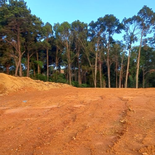 lokasi hutan lindung